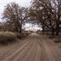 Pyramid Lake