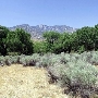 Canebrake Ecological Reserve - California Department of Fish and Wildlife (CDFW)