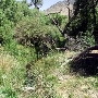 Canebrake Ecological Reserve - California Department of Fish and Wildlife (CDFW)
