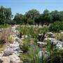 California State University, Northridge - CSUN (All Buildings & Facilities)
