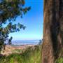 San Bruno Mountain State Park (SP)