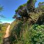 San Bruno Mountain State Park (SP)