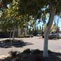 Felicita Plaza - Brixmor Property Group