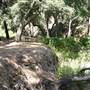 Bogart Regional Park