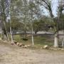 Harford Springs Park