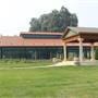 Anselmo Vineyard