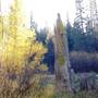 Burton Creek State Park (SP)