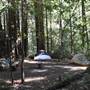 Butano State Park (SP)