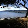 Candlestick Point State Recreation Area (SRA)