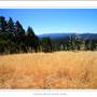 Castle Rock State Park (SP)