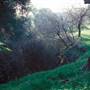 Chino Hills State Park (SP)