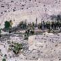 Indio Hills Palms Park Property