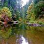 Jedediah Smith Redwoods State Park (SP) within the Redwood National and State Parks