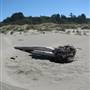 Little River State Beach (SB)