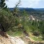 Malakoff Diggins State Historic Park (SHP)