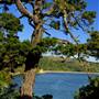 Tomales Bay State Park (SP)