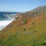 Garrapata State Park (SP)