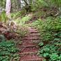 Grizzly Creek Redwoods State Park (SP)