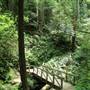 Russian Gulch State Park (SP) / Russian Gulch Bridge - Highway 1