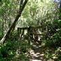 Samuel P. Taylor State Park (SP)