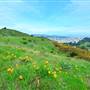 San Bruno Mountain State Park (SP)