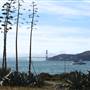 Angel Island State Park (SP)