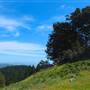 Mount Tamalpais State Park (SP)