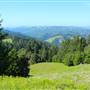Mount Tamalpais State Park (SP)