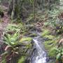 Mount Tamalpais State Park (SP)