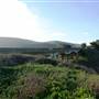 San Gregorio State Beach (SB)