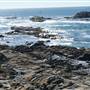 Bean Hollow State Beach (SB)