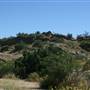 Vasquez Rocks Natural Area and Nature Center