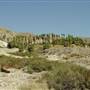 Indio Hills Palms Park Property