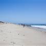 El Pescador State Beach @ Robert H. Meyer Memorial State Beach (SB) - CFC