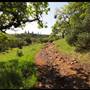 Trione-Annadel State Park (SP)