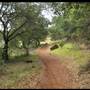 Trione-Annadel State Park (SP)