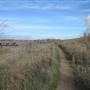 Benicia State Recreation Area (SRA)