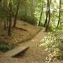 Big Basin Redwoods State Park (SP)