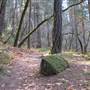 Bothe-Napa Valley State Park (SP)