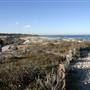 Asilomar State Beach and Conference Grounds