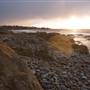 Asilomar State Beach and Conference Grounds