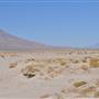 Olancha Sand Dunes - Bureau of Land Management - California Desert District - Ridgecrest Field Office - BLM - Off Highway Vehicle Area - OHV