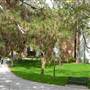 University of Southern California - USC