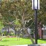 University of Southern California - USC