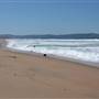 Fort Ord Dunes State Park (SP)