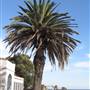 Point Fermin Lighthouse Museum
