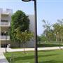 California State University, Northridge - CSUN (All Buildings & Facilities)