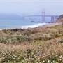 Baker Beach