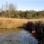 Trione-Annadel State Park (SP)
