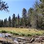 Mount San Jacinto State Park (SP) & Palm Springs Aerial Tramway